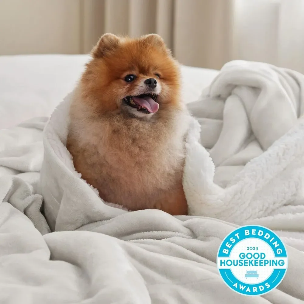 Gentlesoft Sherpa Fleece Throw Blanket For Couch Non-Heated
